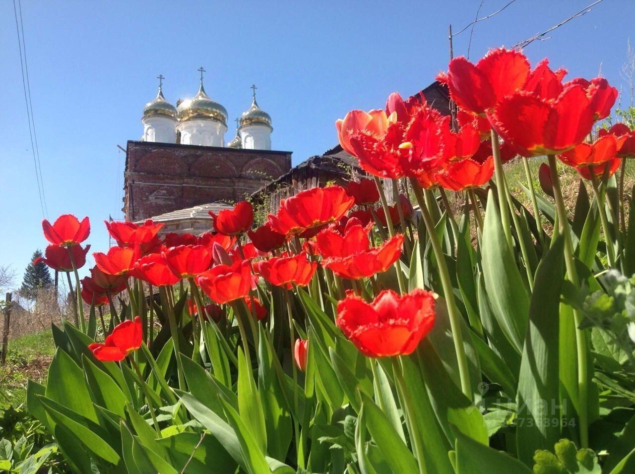 Купить загородную недвижимость в селе Исады Лысковского района, продажа  загородной недвижимости - база объявлений Циан. Найдено 3 объявления