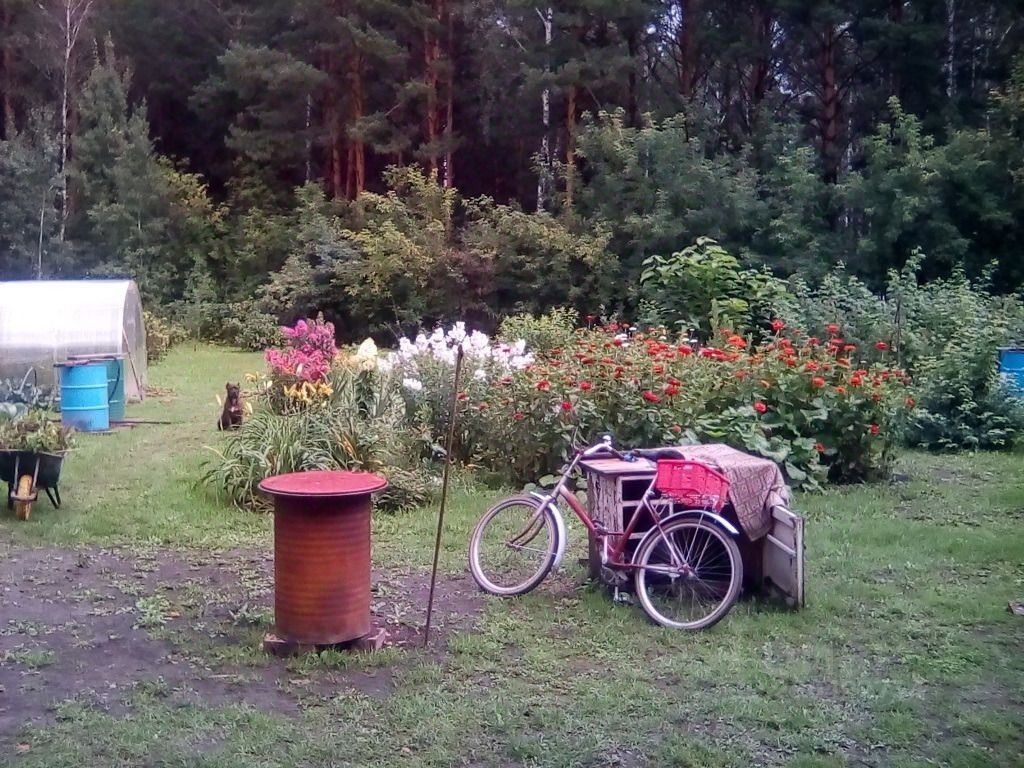 На фотографии представлено открытое пространство с ухоженным садом, где цветут яркие цветы различных оттенков. В центре композиции находится велосипед с корзиной, стоящий рядом с деревянным предметом мебели. На заднем плане виден теплицей с прозрачными стенами, а также несколько ведер и тачка для сада. Земля покрыта травой и местами грязью, что придает естественный вид. В целом, пространство выглядит уютным и ухоженным, идеально подходящим для отдыха на природе.