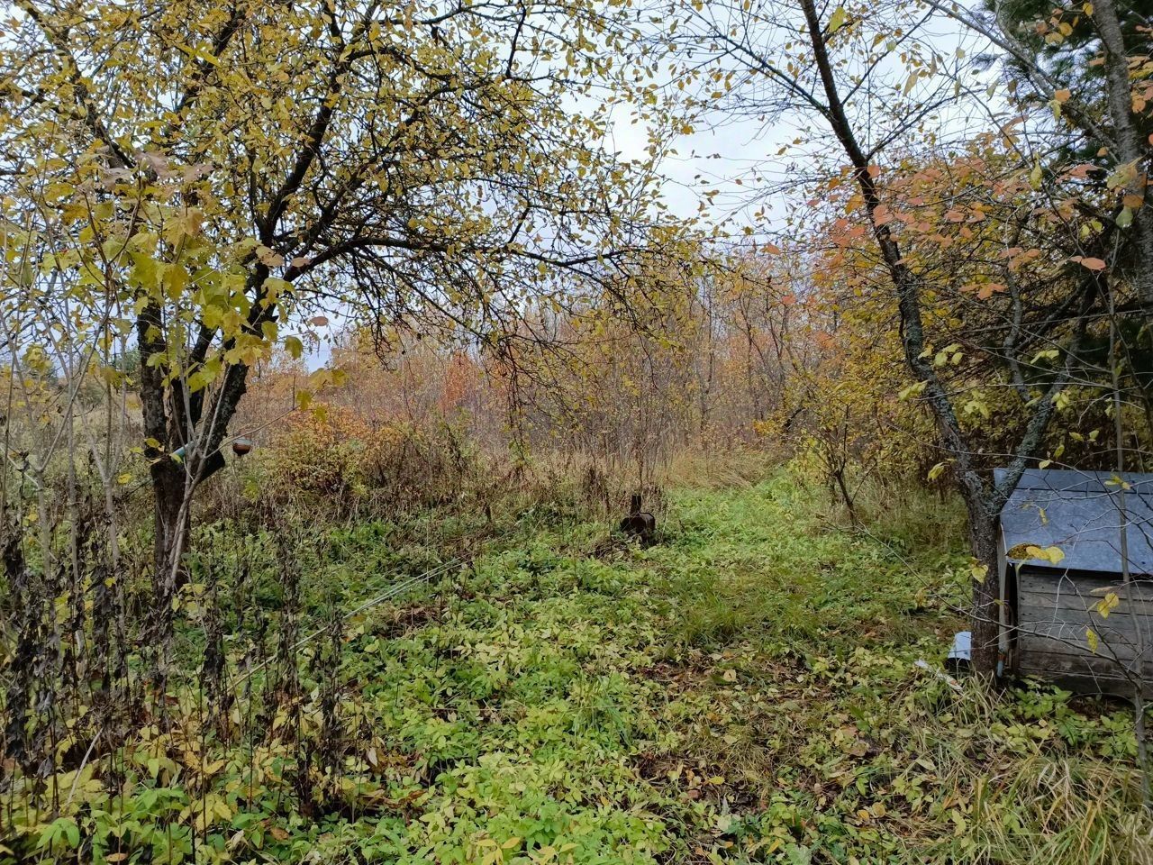 Купить дом в поселке городского типа Кардымово Смоленской области, продажа  домов - база объявлений Циан. Найдено 8 объявлений