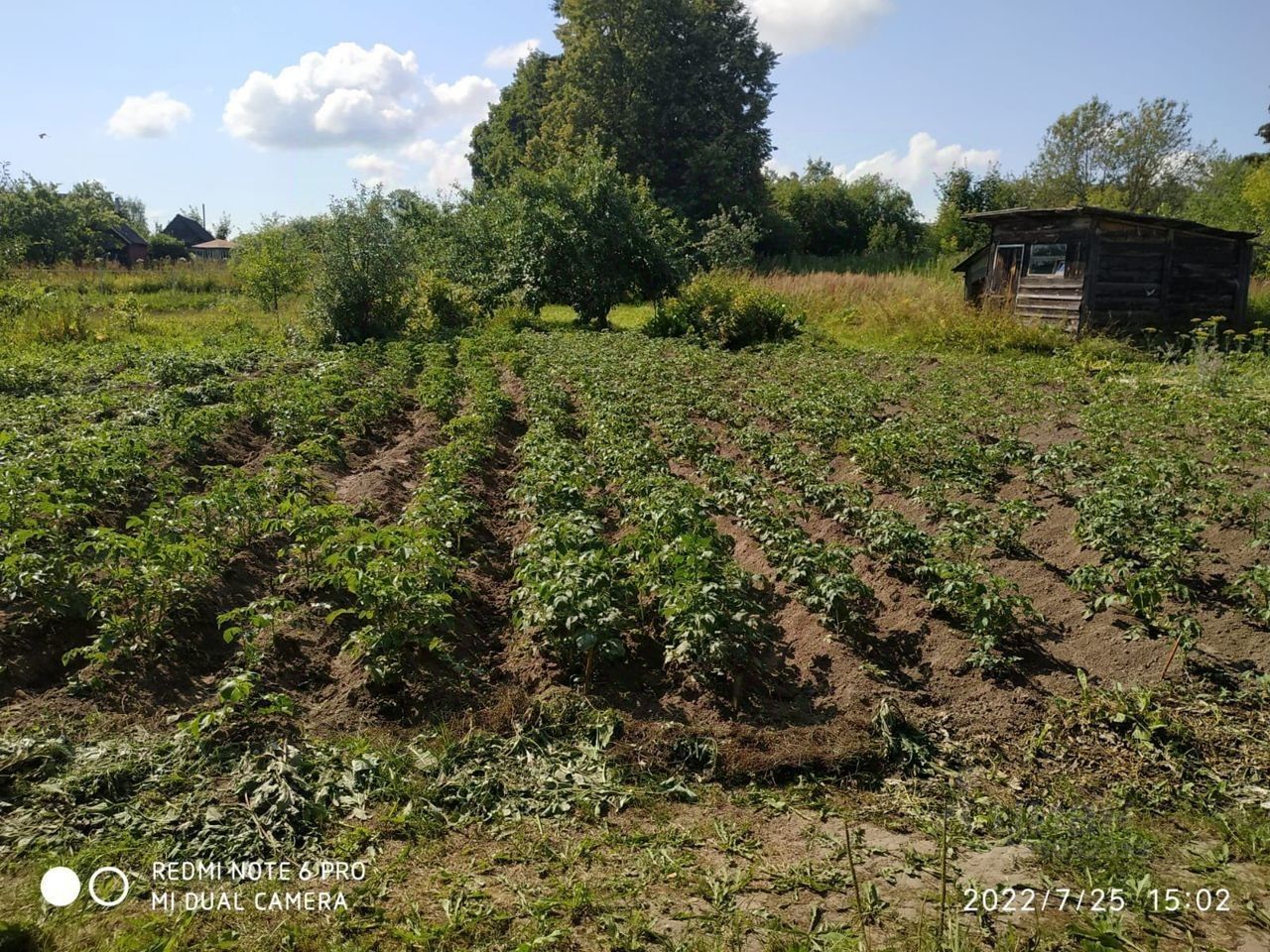 Купить дом в Кашине, продажа домов - база объявлений Циан. Найдено 5  объявлений