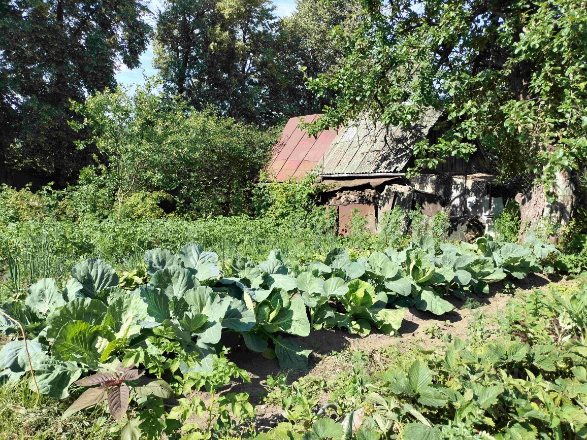 Купить дом без посредников в Кашире от хозяина, продажа домов с участком от  собственника в Кашире. Найдено 170 объявлений.