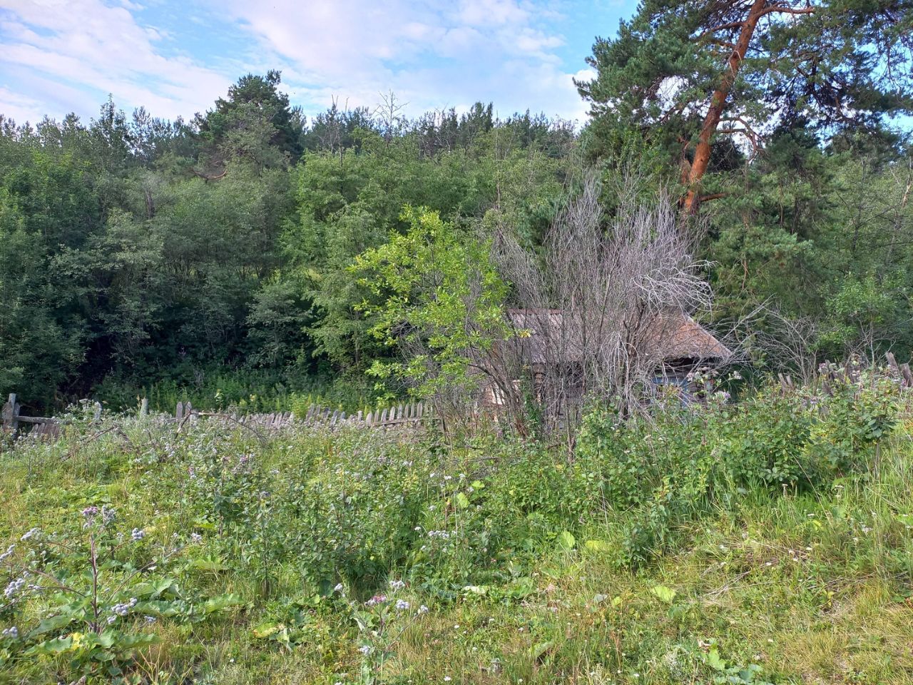 Купить загородную недвижимость на улице Подгорная в городе Катав-Ивановск,  продажа загородной недвижимости - база объявлений Циан. Найдено 1 объявление