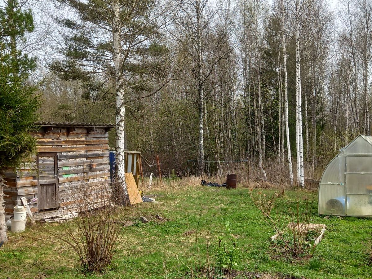 Купить Дачу В Тикопись Кингисеппский Район