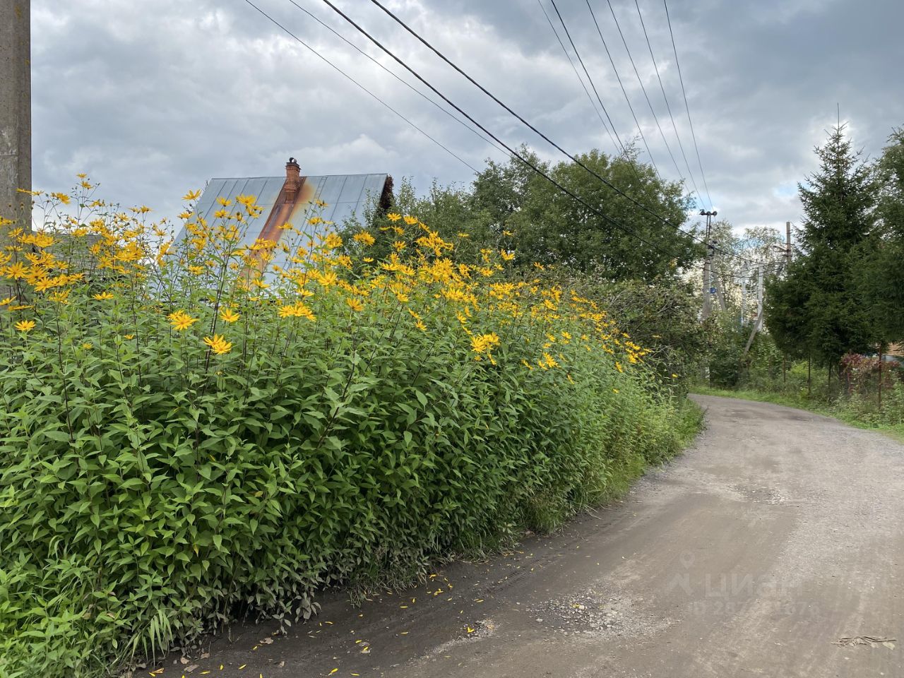 Купить загородную недвижимость в СНТ Колос в деревне Сярьги, продажа  загородной недвижимости - база объявлений Циан. Найдено 9 объявлений