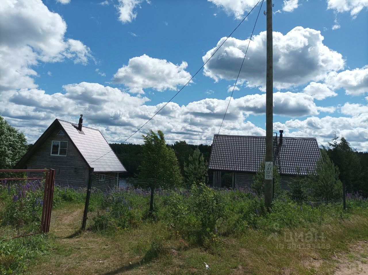 Продаю дом 50сот. Ленинградская область, Тихвинский район, Пашозерское  с/пос, Корбеничи деревня - база ЦИАН, объявление 304193489