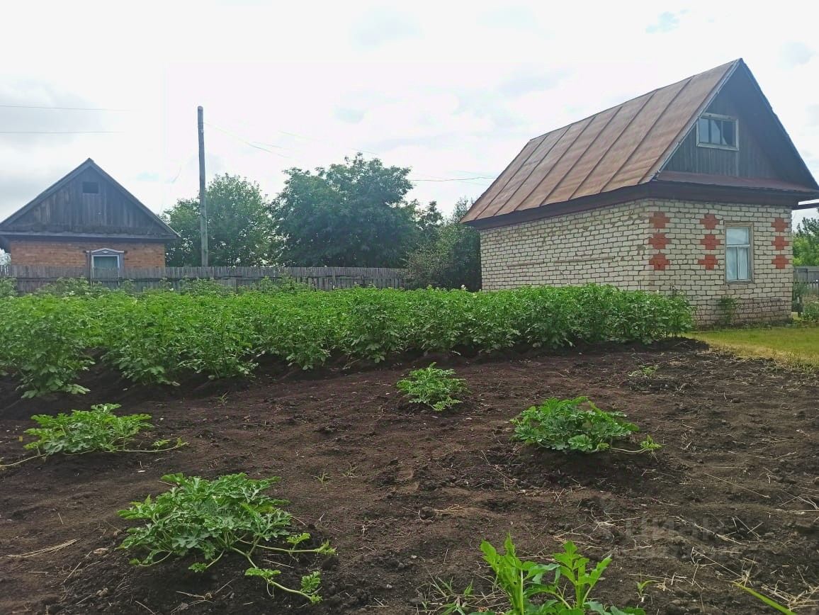 Купить дачу недорого в Бийске. Найдено 11 объявлений.