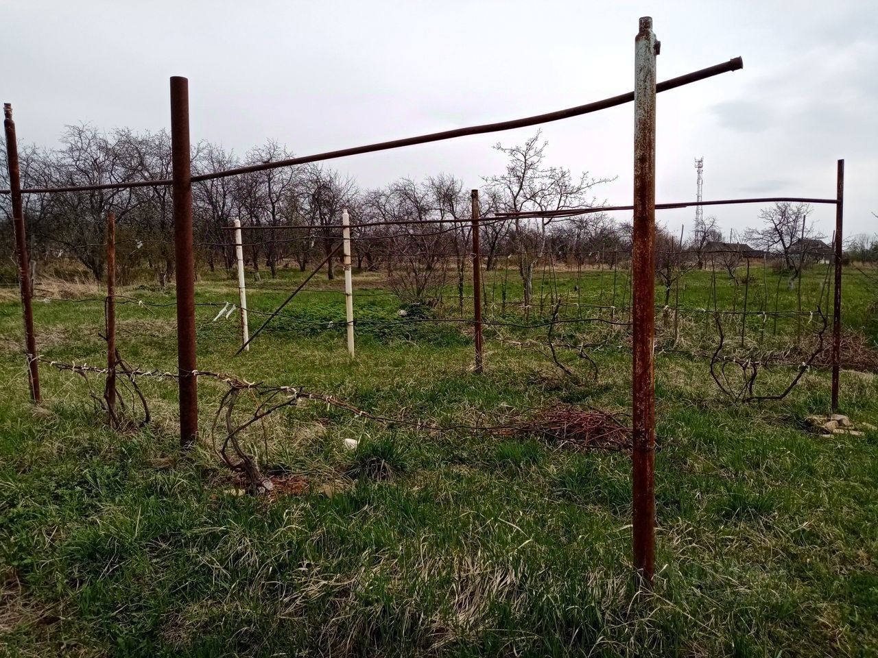 Купить загородную недвижимость в селе Красный Оселок Лысковского района,  продажа загородной недвижимости - база объявлений Циан. Найдено 2 объявления