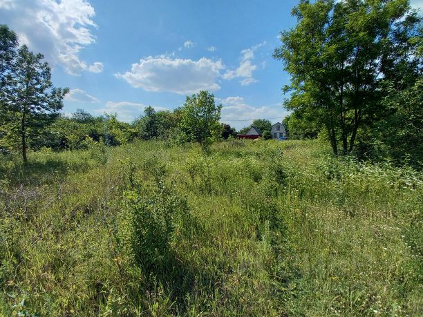 Купить дачу в Белгороде, 🏡 продажа дачных участков с домом недорого: срочно, цены