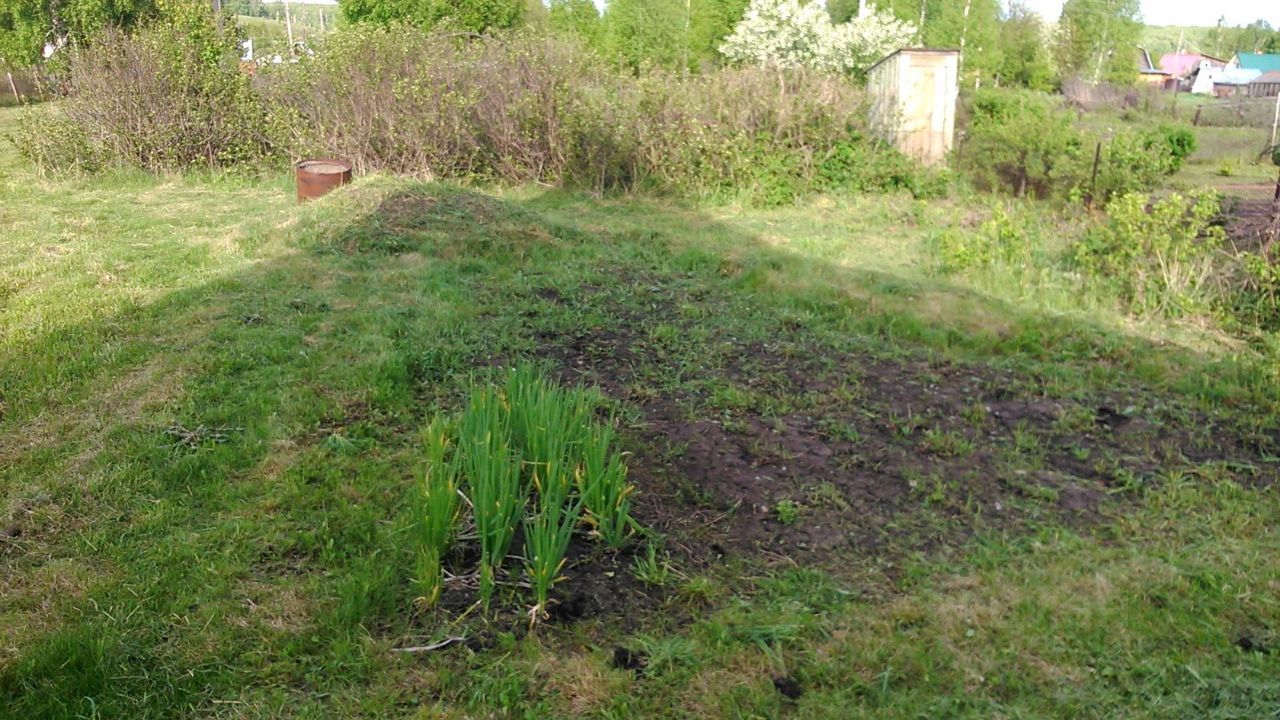 Купить загородную недвижимость в СНТ Механизатор в муниципальном округе  Новокузнецкий, продажа загородной недвижимости - база объявлений Циан.  Найдено 1 объявление