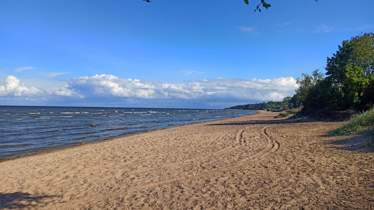 Купить дом в деревне Коккорево Всеволожского района, продажа домов - база  объявлений Циан. Найдено 21 объявление