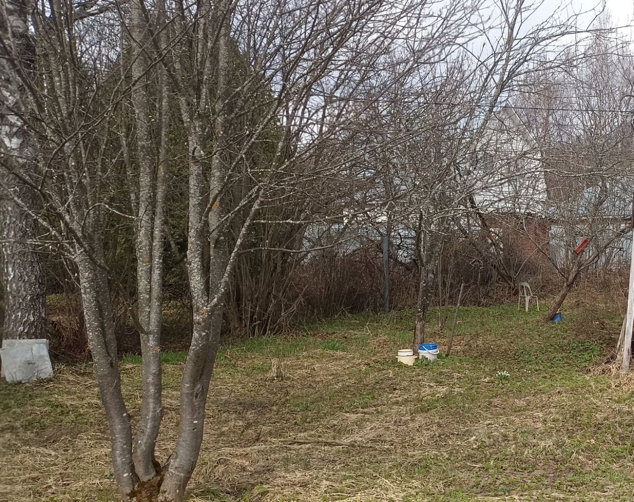 Купить загородную недвижимость в СНТ Лесовод городского округа Сергиево-Посадского,  продажа загородной недвижимости - база объявлений Циан. Найдено 1 объявление