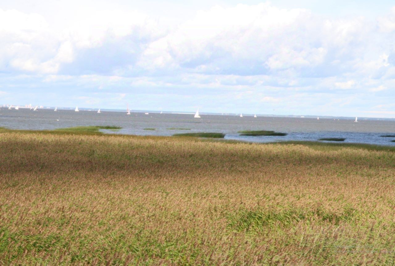 Купить дом на улице Морская в городе Ломоносов в Санкт-Петербурге, продажа  домов - база объявлений Циан. Найдено 1 объявление