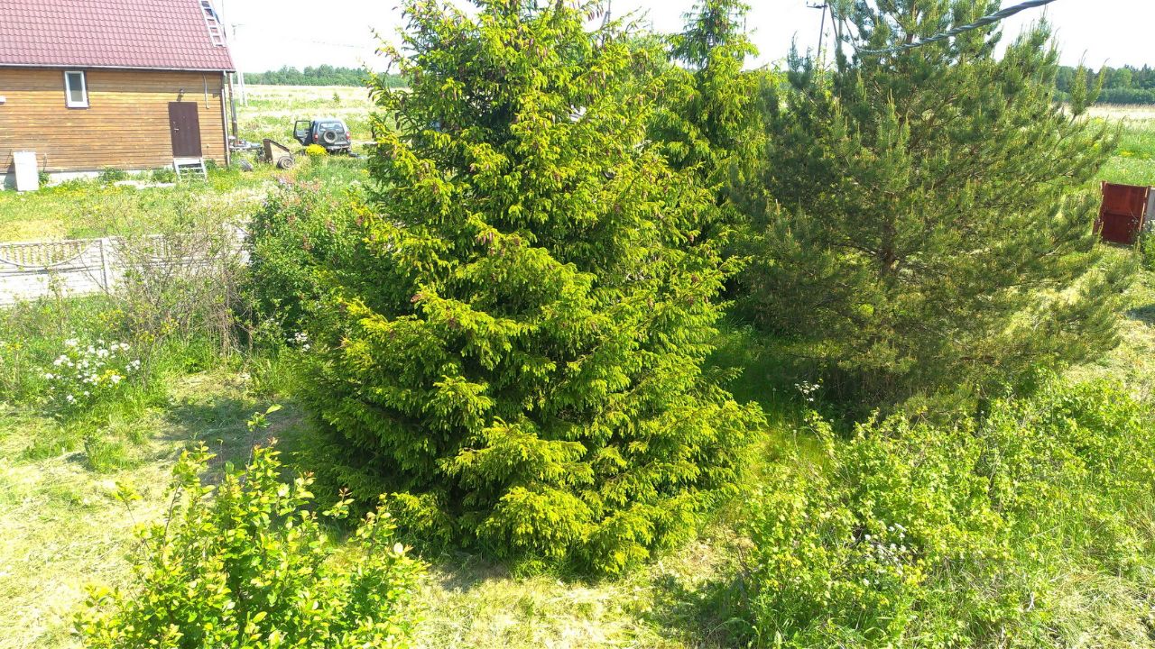 Купить загородную недвижимость в деревне Савольщина Ломоносовского района,  продажа загородной недвижимости - база объявлений Циан. Найдено 4 объявления