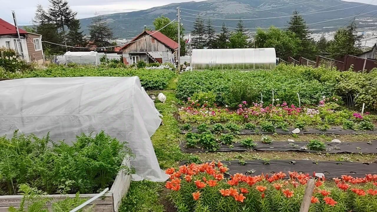 Купить дачу недорого в Магаданской области. Найдено 1 объявление.