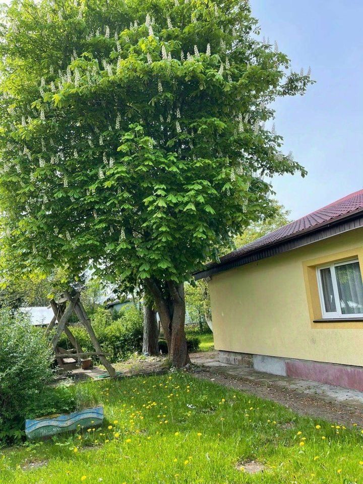 Продажа дома 93м² Балтийская ул., 26, Мамоново, Калининградская область ...