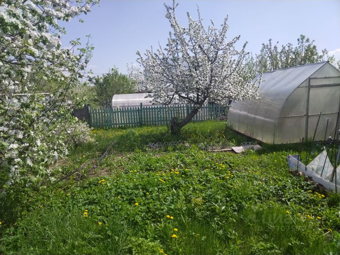 Купить дом в СНТ Металлург-Сок-5 в дачном массиве Сокский, продажа домов -  база объявлений Циан. Найдено 4 объявления