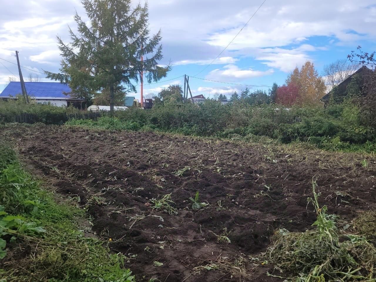 Дом 35.9 м² в с. Мильково — фото 6 из 12