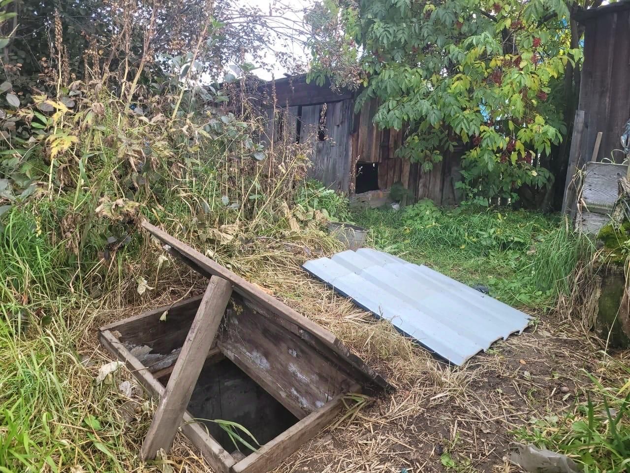 Дом 35.9 м² в с. Мильково — фото 10 из 12