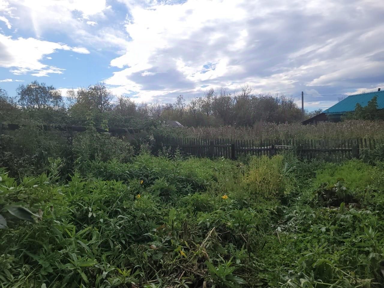 Дом 35.9 м² в с. Мильково — фото 12 из 12