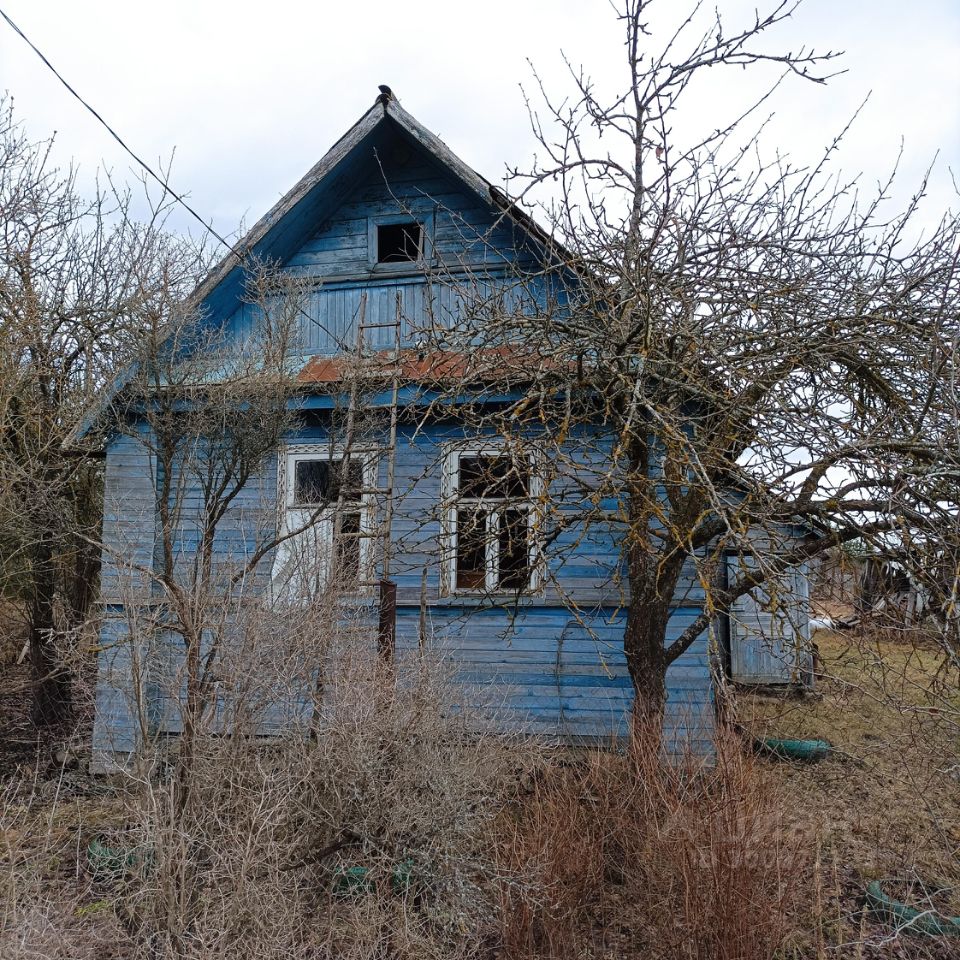 Купить дом в деревне Мшага Воскресенская Шимское городского поселения,  продажа домов - база объявлений Циан. Найдено 1 объявление