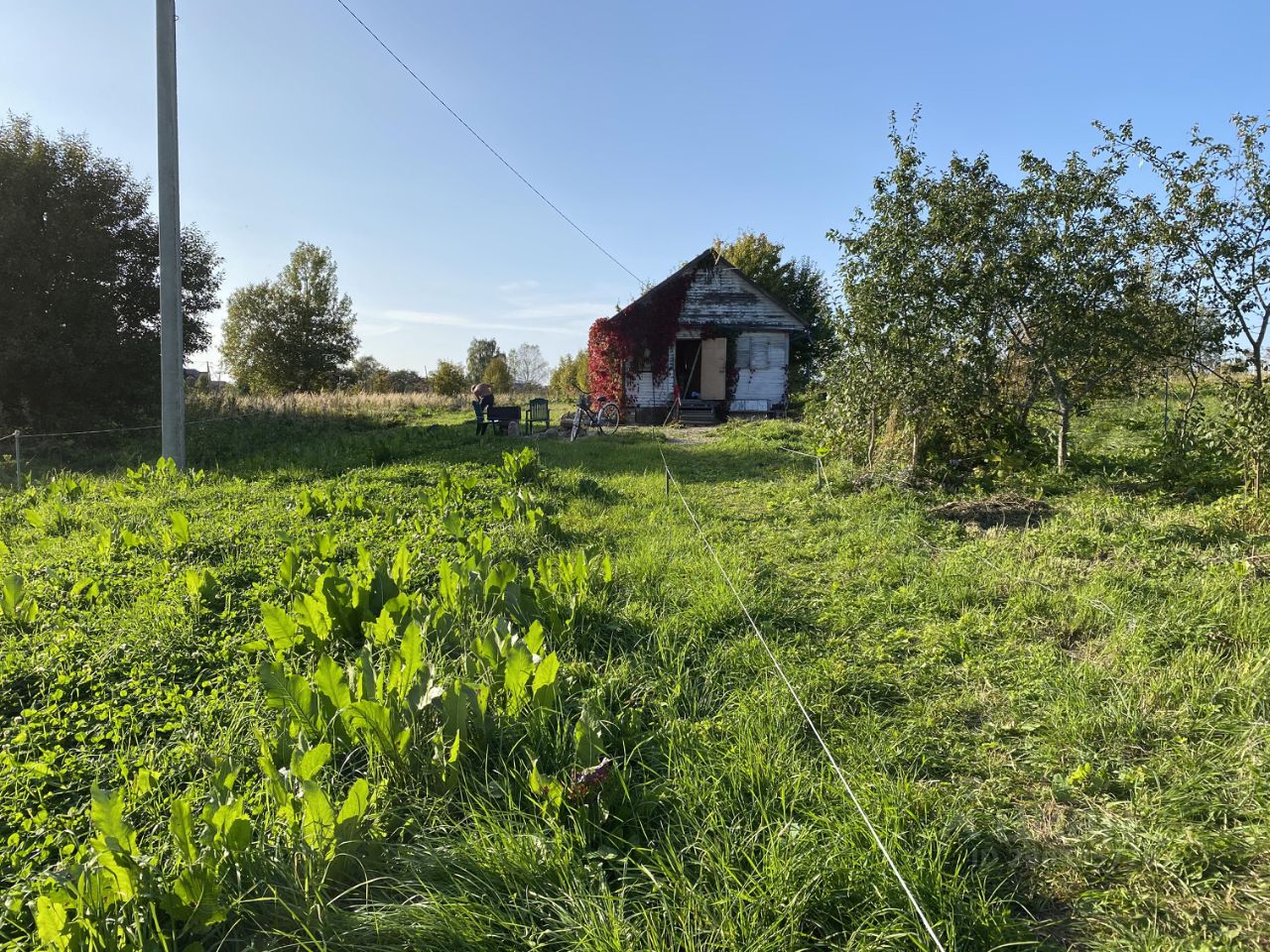 Купить дачу недорого в деревне Мышкино Московской области, продажа дачи в  Подмосковье от собственника.