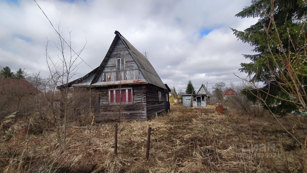 Купить загородную недвижимость в СНТ Невские Зори в садоводческом массиве  Пупышево, продажа загородной недвижимости - база объявлений Циан. Найдено 2  объявления