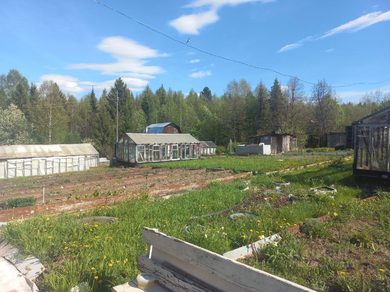 Купить дом в СНТ Нива городского округа Добрянского, продажа домов - база  объявлений Циан. Найдено 3 объявления