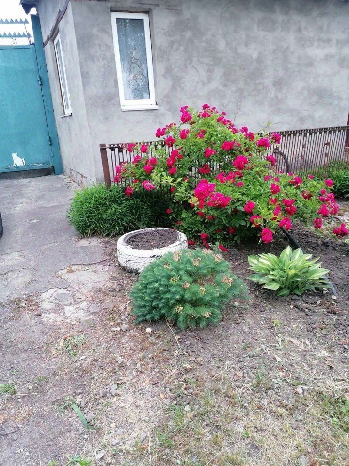 Продаю дом 40м² ул. Алексеевского, 1, Воронежская область, Новая Усмань ...