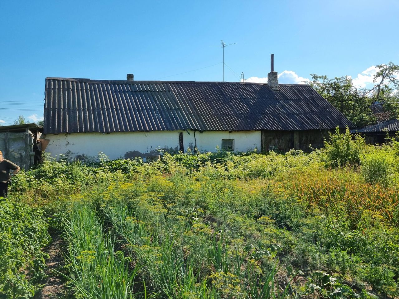 Купить дом в Псковской области, продажа домов - база объявлений Циан.  Найдено 1 516 объявлений