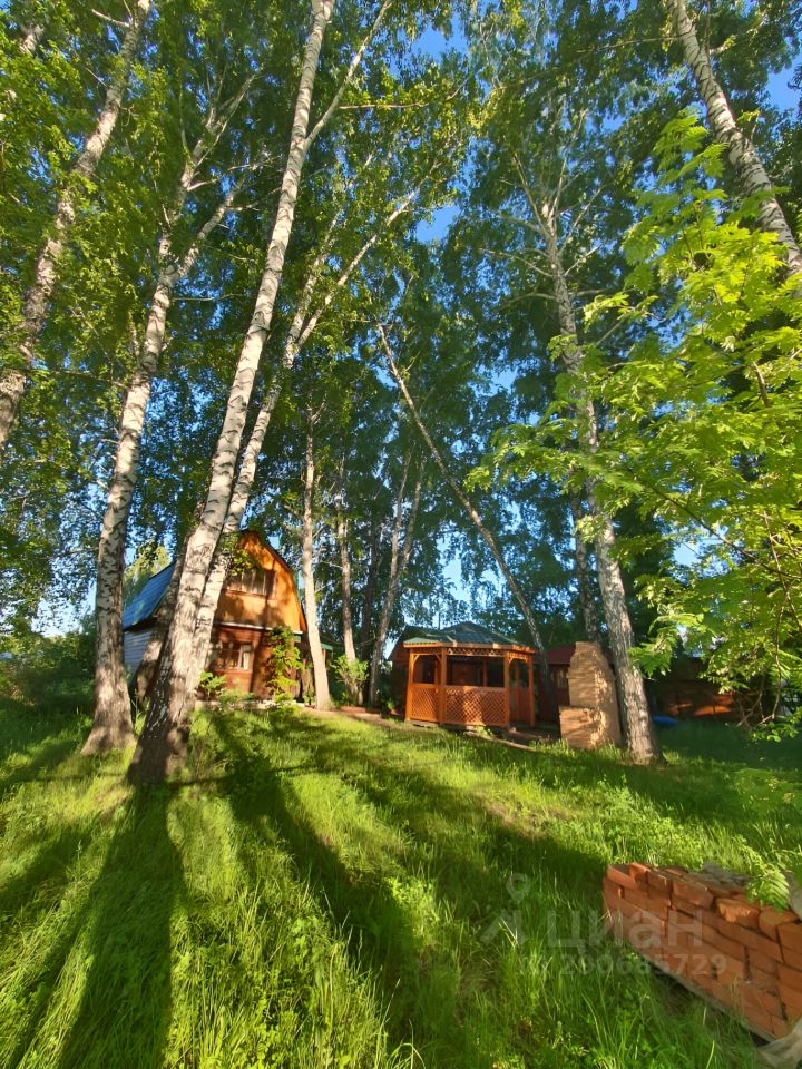 На фотографии представлено загородное строение в деревянном стиле с наклонной крышей и отделкой из натурального дерева. Видны характерные элементы, такие как терраса с перилами и крытая беседка, выполненная из дерева с открытыми стенами. Строение окружено высокими березами и зелеными насаждениями, создающими уютную атмосферу. Основные цвета – светлые древесные оттенки, а также яркая зелень травы. Используемые материалы подчеркивают природный стиль и гармонично вписываются в окружающую природу.