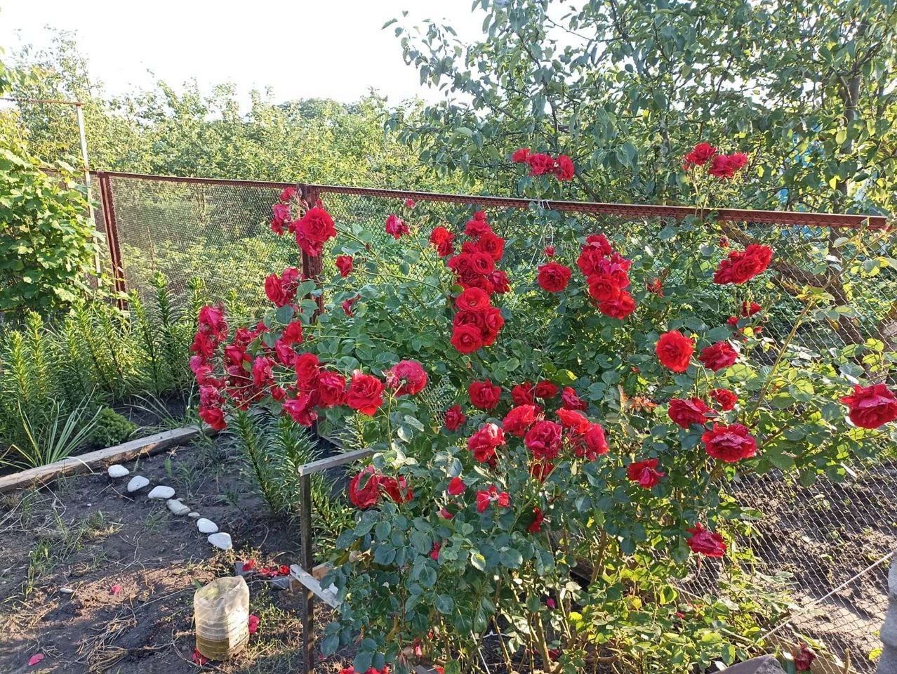 Купить загородную недвижимость на улице Ленина в хуторе Обуховка в сельском  поселении Елизаветинское, продажа загородной недвижимости - база объявлений  Циан. Найдено 2 объявления