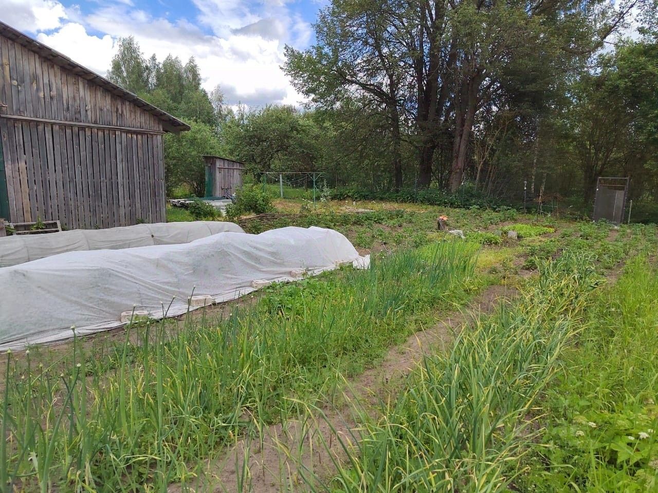 Купить деревянный дом в Опочке, продажа коттеджей из дерева. Найдено 11  объявлений.