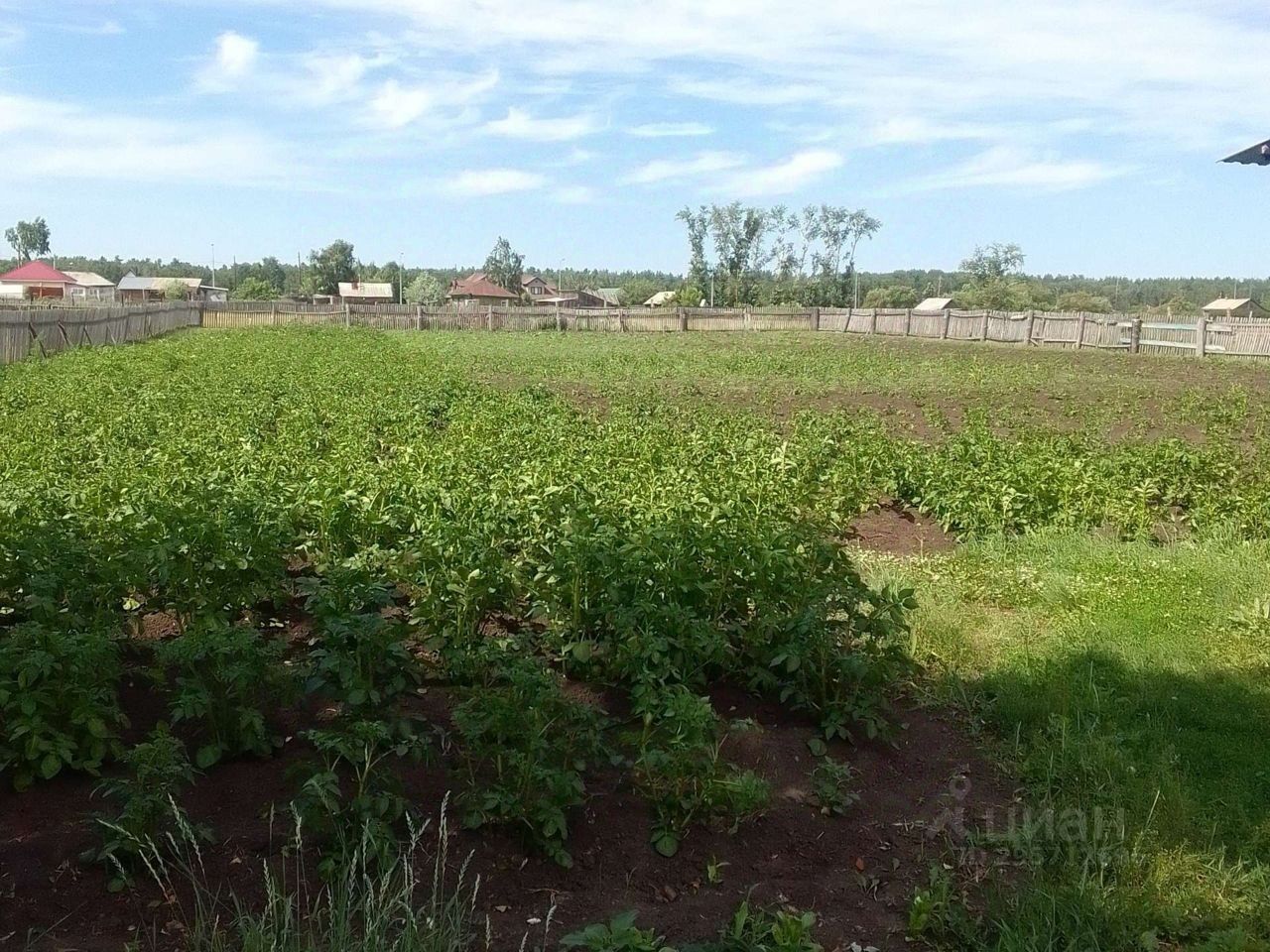 Купить дом в селе Подойниково Панкрушихинского района, продажа домов - база  объявлений Циан. Найдено 2 объявления