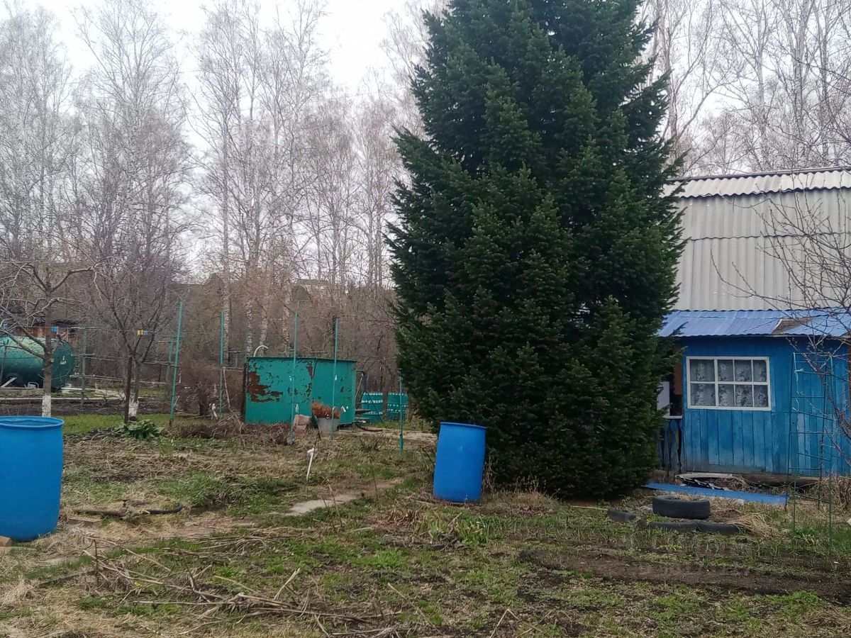 Продается дом/дача в Барнауле, площадь 38 кв.м. Участок с деревьями и кустарниками, есть хозяйственные постройки. Тихое место для отдыха.