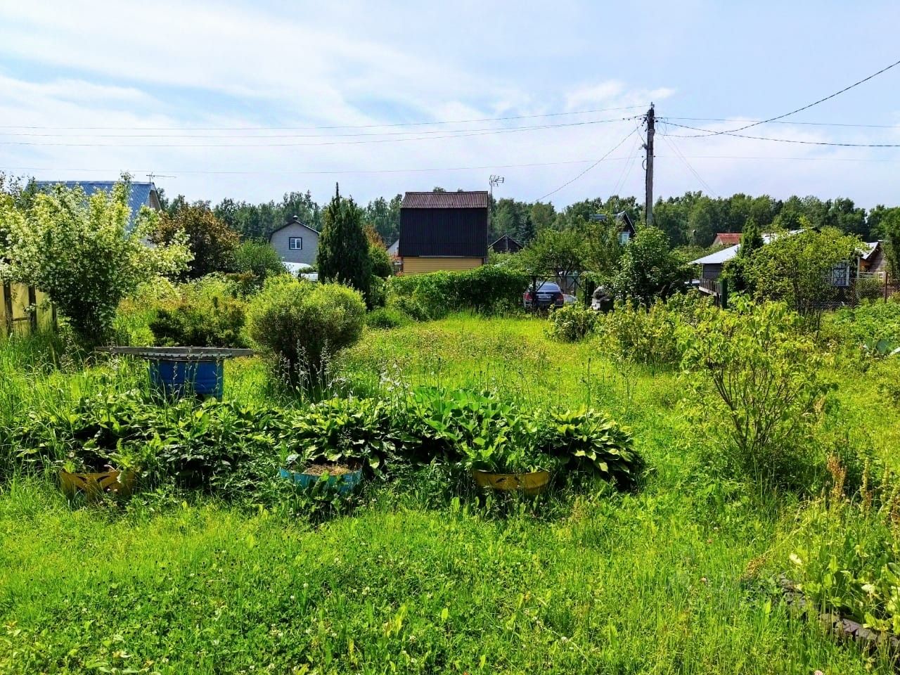 Купить дом в СНТ Полиграфист городского округа Чехова, продажа домов - база  объявлений Циан. Найдено 2 объявления