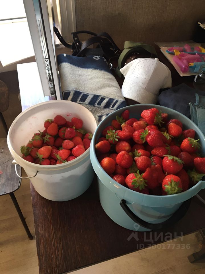 Дом в Псковская область, Псков Лунинский пер. (36 м²)