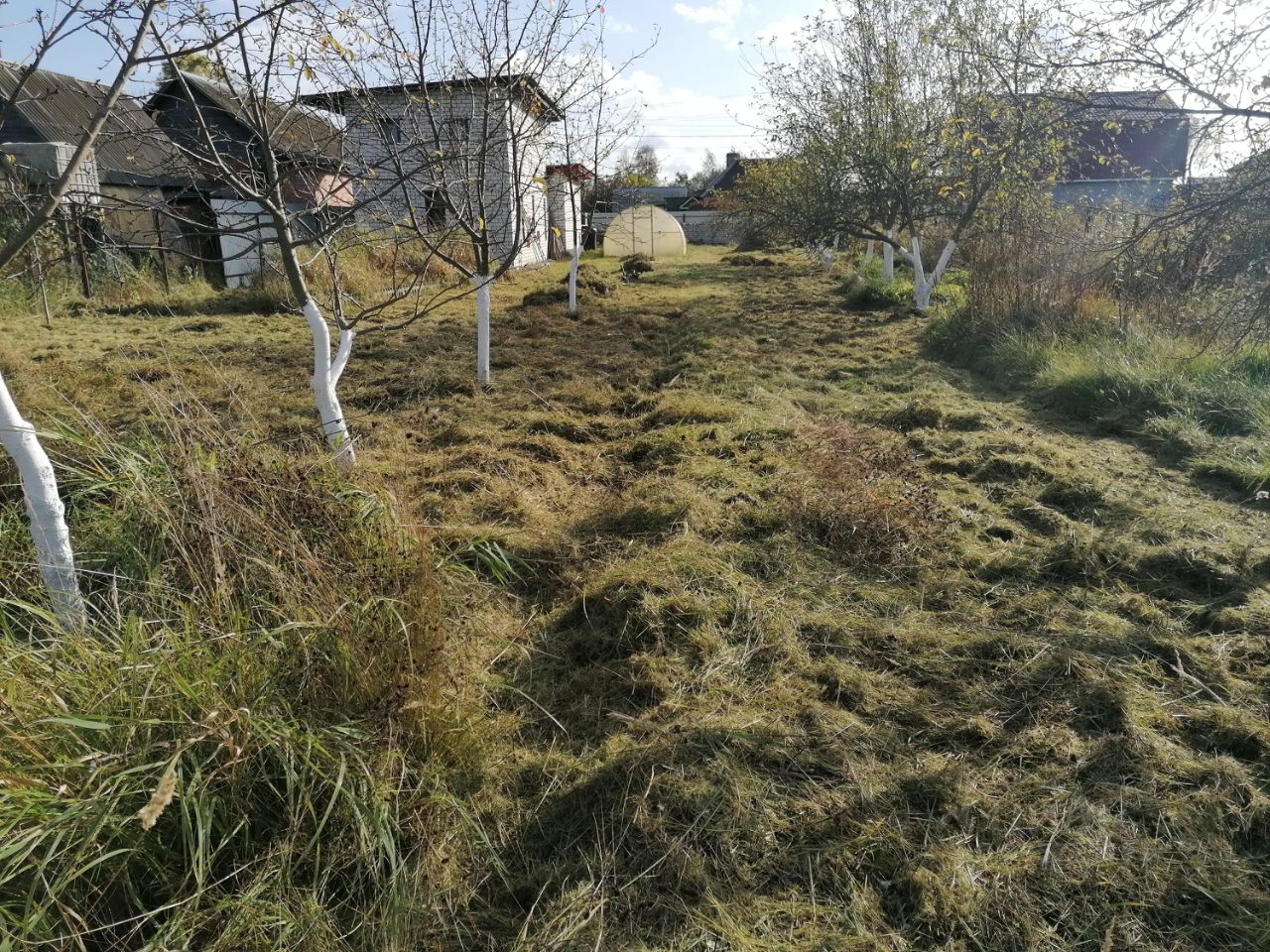 Дом в Брянская область, Брянск Радица-Крыловка пгт, ул. Никитина, 28 (101 м²)
