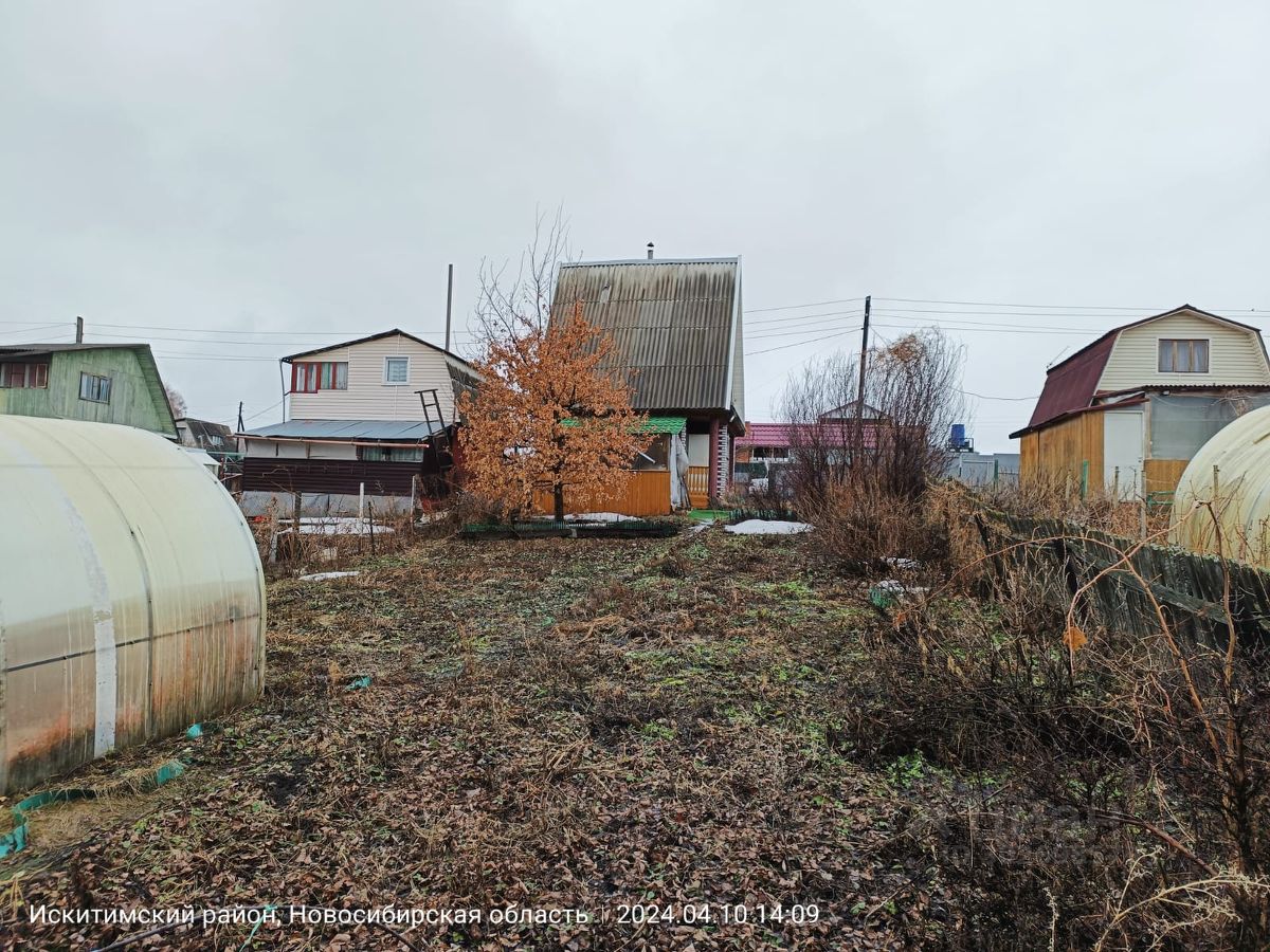 Купить дачу недорого в Новосибирской области. Найдено 1 316 объявлений.