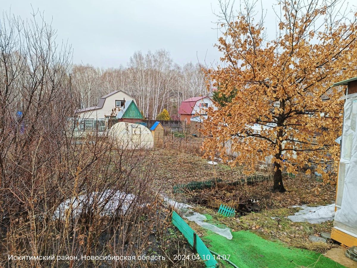 Купить дачу без посредников в Новосибирской области, дачи от собственников  (частные объявления). Найдено 288 объявлений.