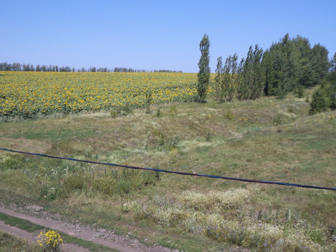 Село рогачевка