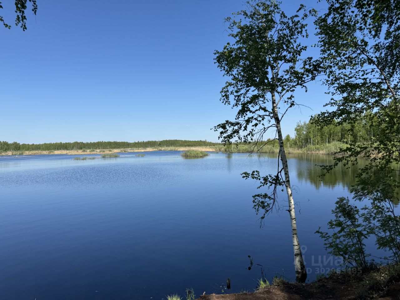 Купить дачу недорого в городском округе Шатуре Московской области, продажа  дачи в Подмосковье от собственника.. Найдено 43 объявления.