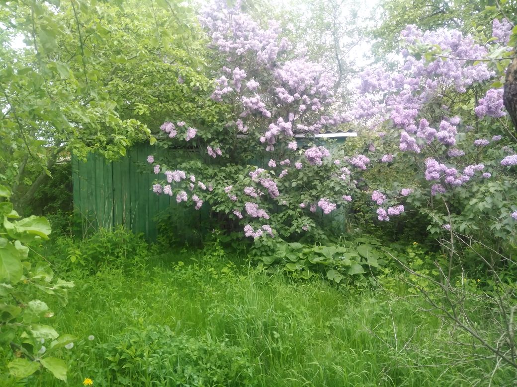 Купить дом в микрорайоне Северо-Западный Промузел в городе Рязань, продажа  домов - база объявлений Циан. Найдено 1 объявление