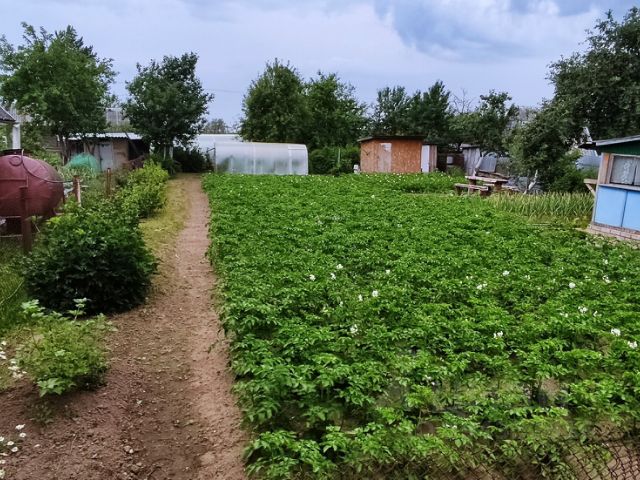 Купить Дом В Дедовичском Районе Псковской Области