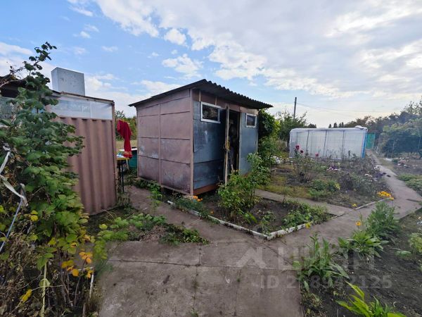 Купить дачу в Воронеже в Воронежской области, купить дачу в Воронеже | RussianRealty