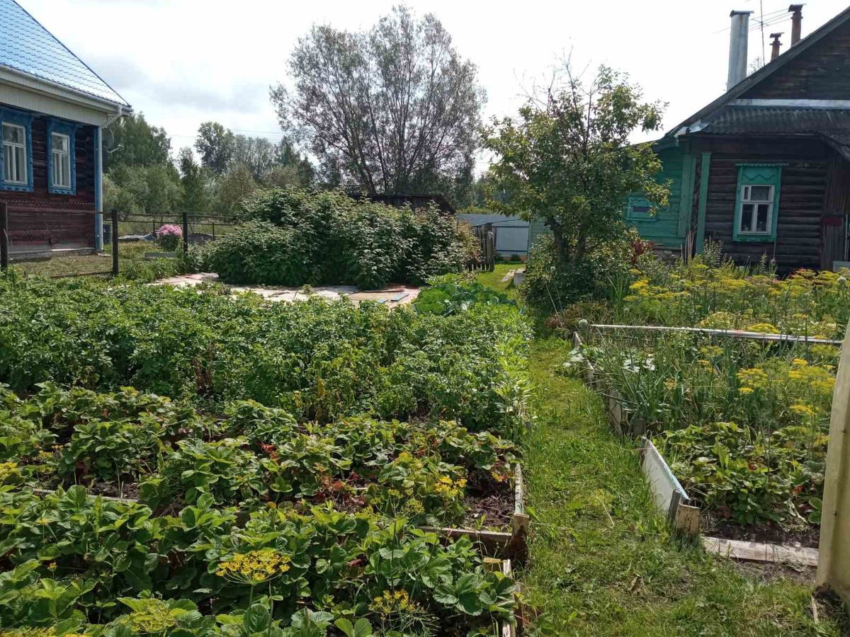 Купить Дом В Г Семенов Нижегородской Области