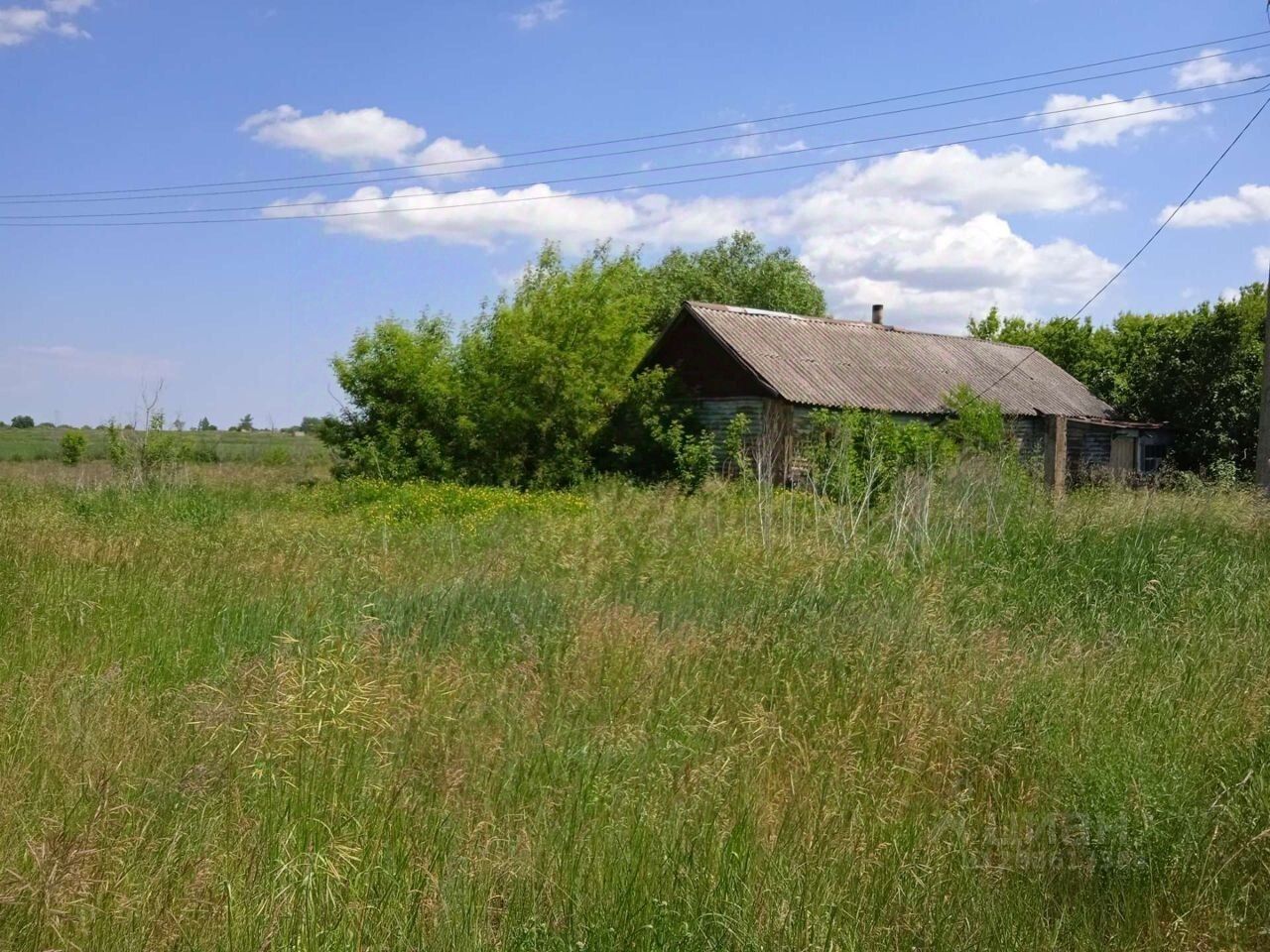 Купить дом в Эртильском районе Воронежской области, продажа домов - база  объявлений Циан. Найдено 34 объявления