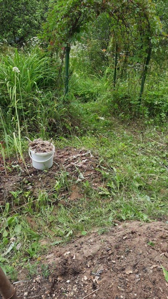 Смоленск Купить Дом В Заднепровском Районе Жукова
