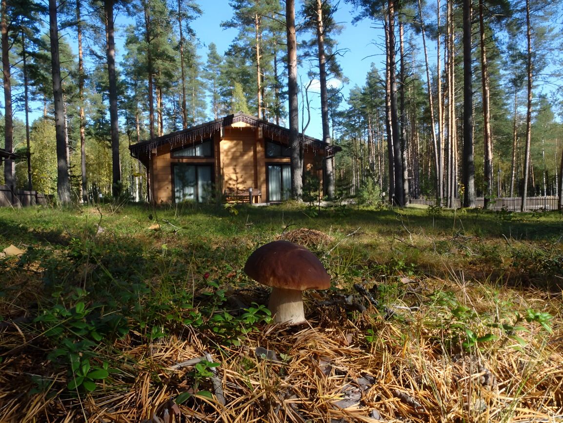 Купить дом в коттеджном поселке Солнечный Орнамент в деревне Раздолье,  продажа домов - база объявлений Циан. Найдено 2 объявления