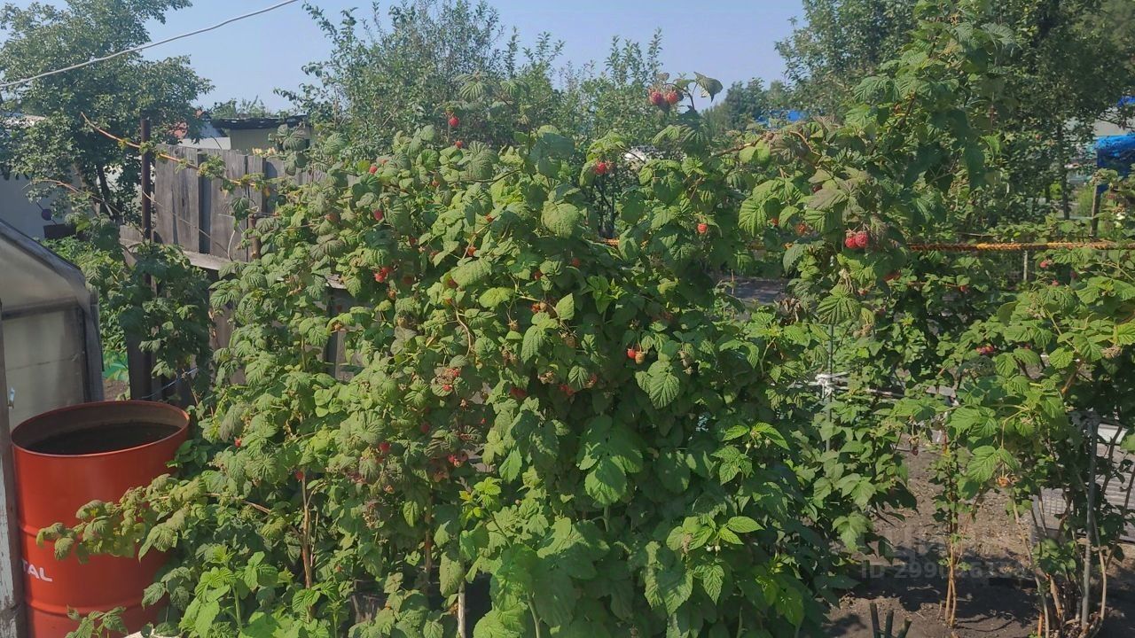 Купить загородную недвижимость в СНТ Сосновый Бор городского округа  Уральский, продажа загородной недвижимости - база объявлений Циан. Найдено  1 объявление