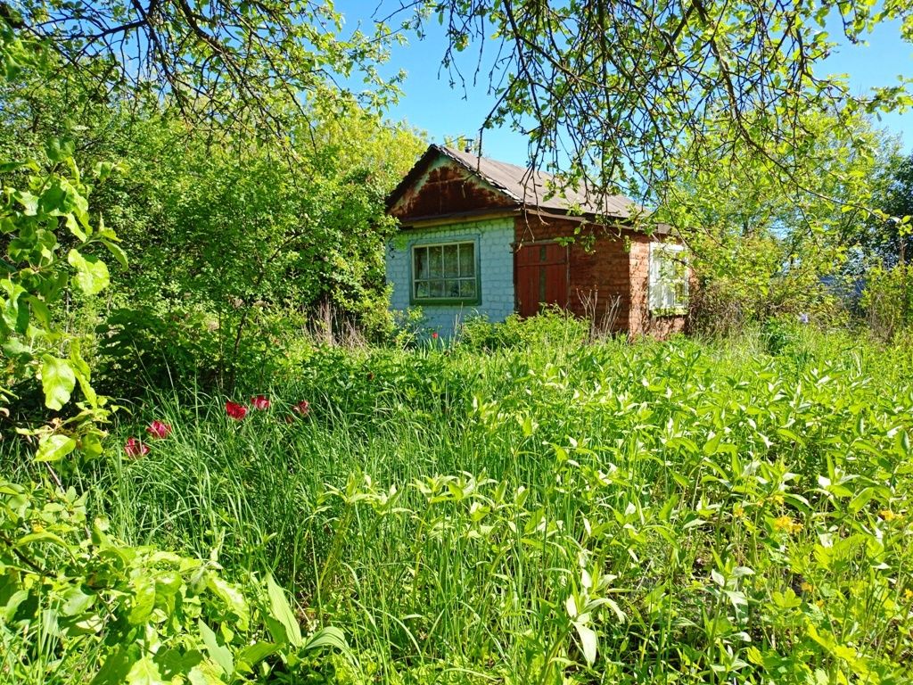 Купить загородную недвижимость в СНТ Сталь в деревне Ивановское, продажа  загородной недвижимости - база объявлений Циан. Найдено 5 объявлений